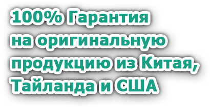 Главная